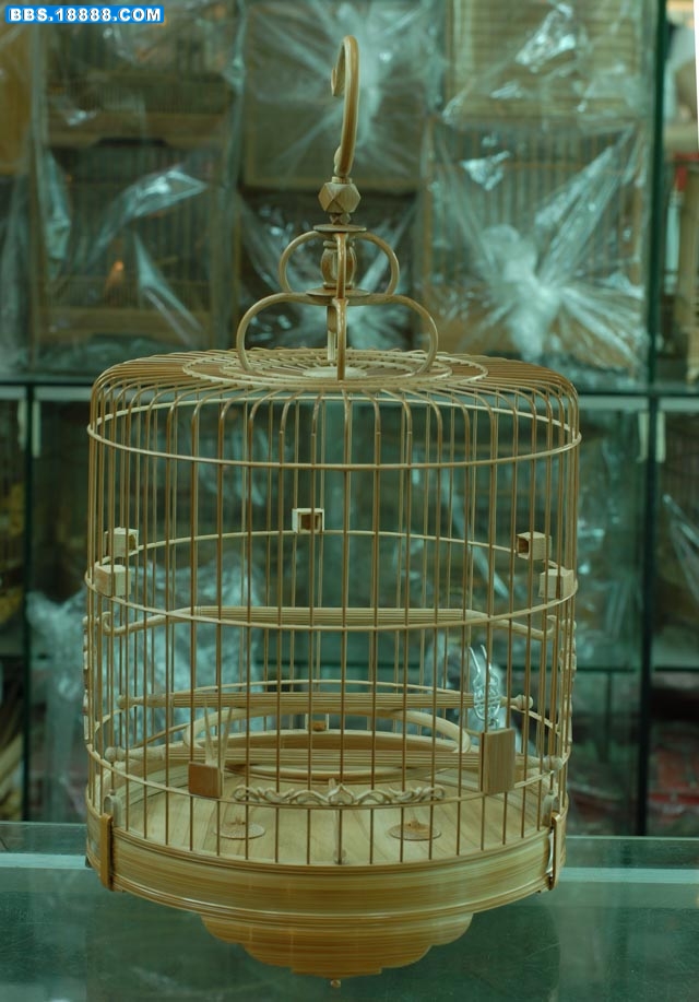 DSC_0017.JPG