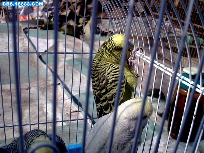 20100828326.jpg