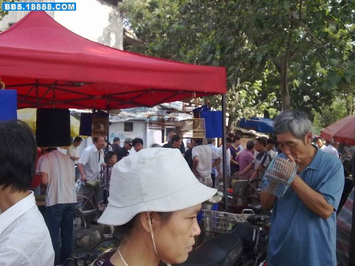 20100828333.jpg