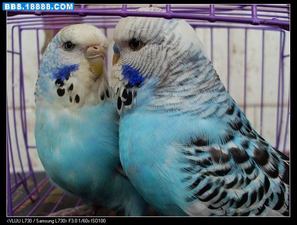 nEO_IMG_SL371268.jpg