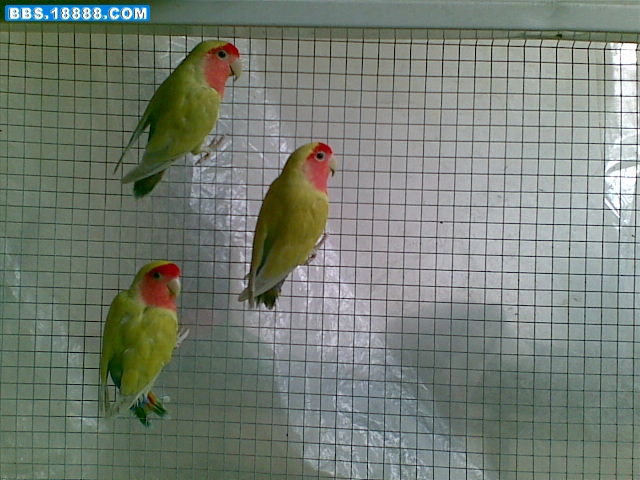 20100802_038.jpg