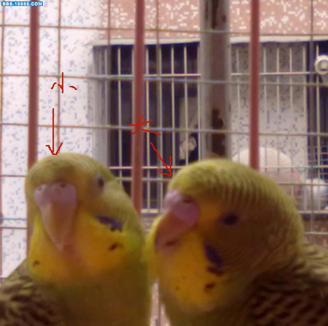 201008221826.jpg