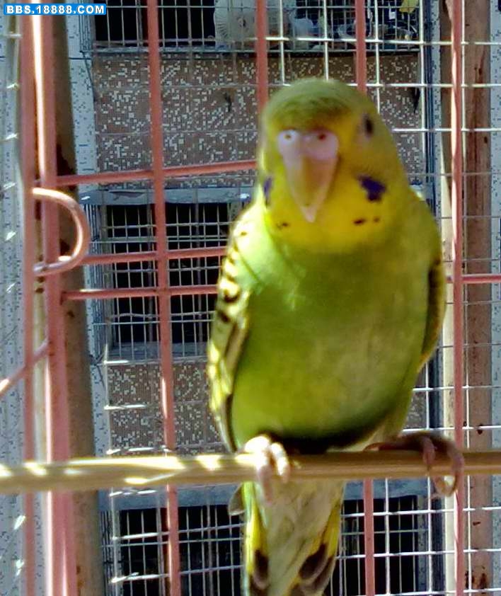小7.jpg