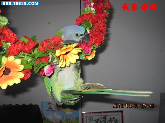 IMG_4506.JPG
