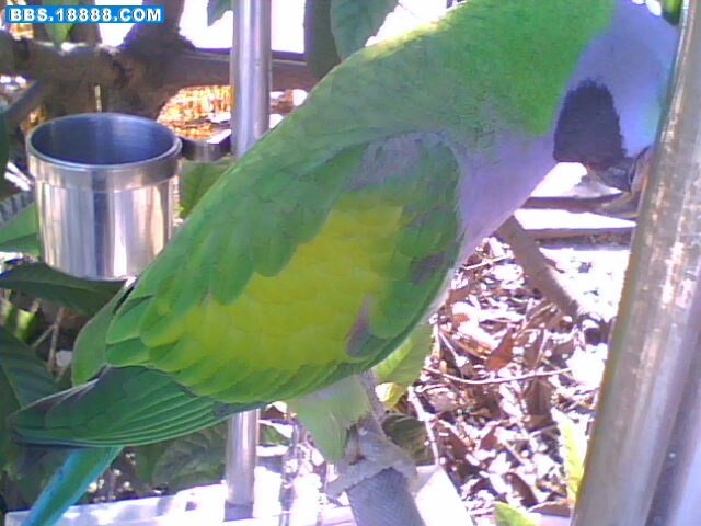 IMG1590A.jpg