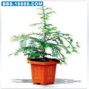 T1ZZXEXXXpXXXlAXHa_090034.jpg_310x310.jpg