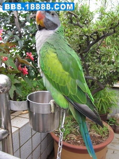 IMG_2838.jpg