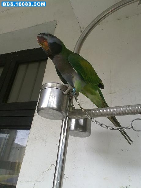 20100826082.jpg