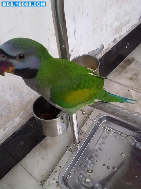 20100826093.jpg