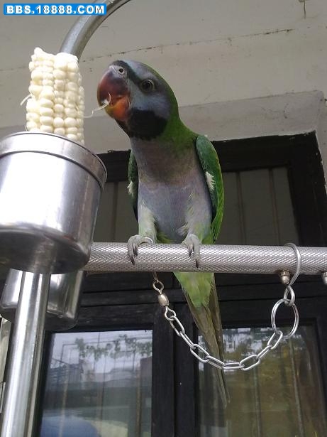 20100826085.jpg