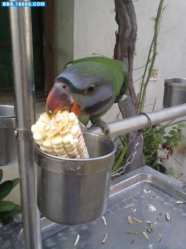 20100817006.jpg
