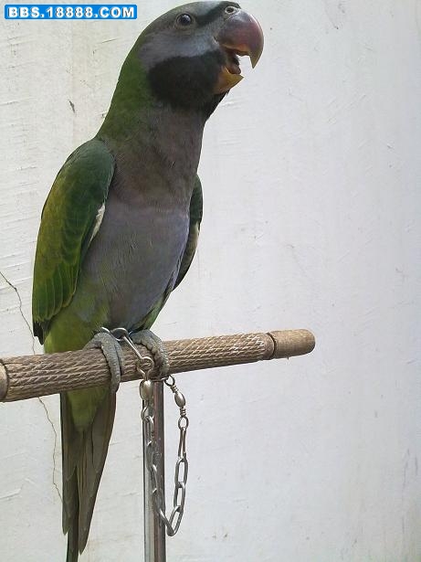 20100822041.jpg