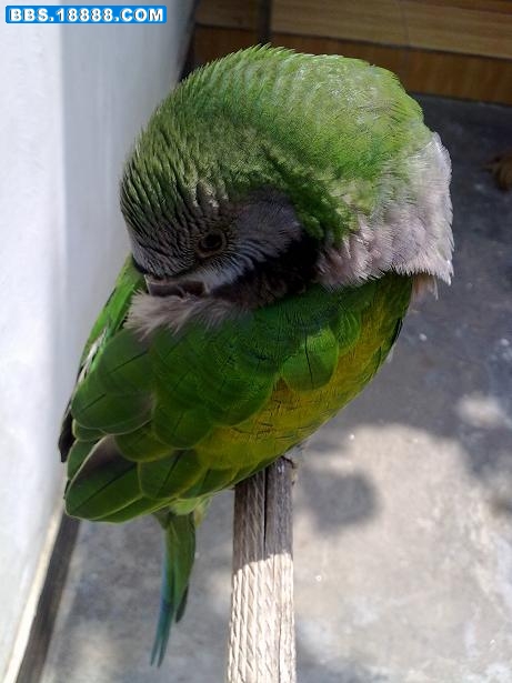 20100822047.jpg