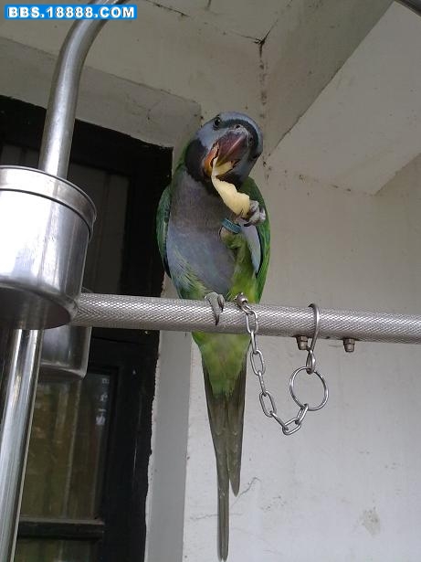 20100828094.jpg