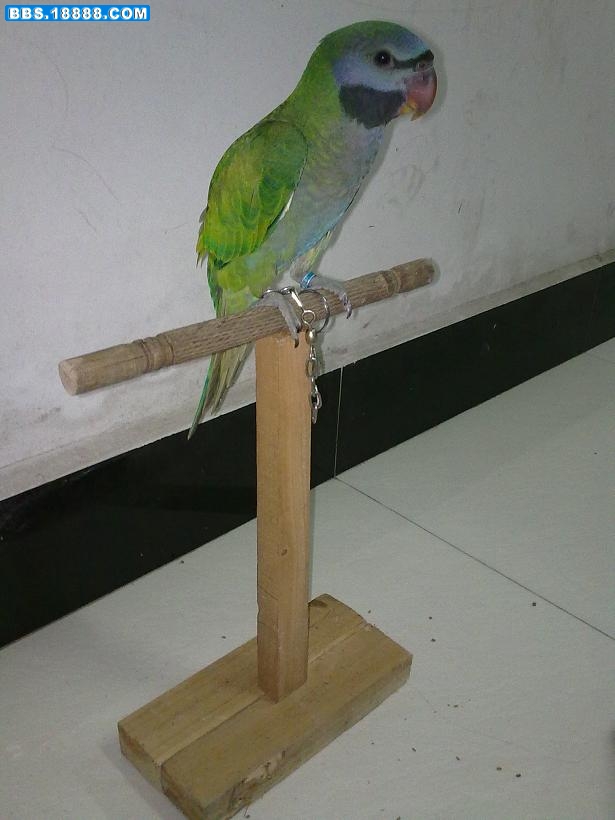 20100818016.jpg