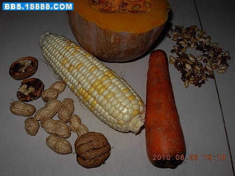 DSCN3953.JPG