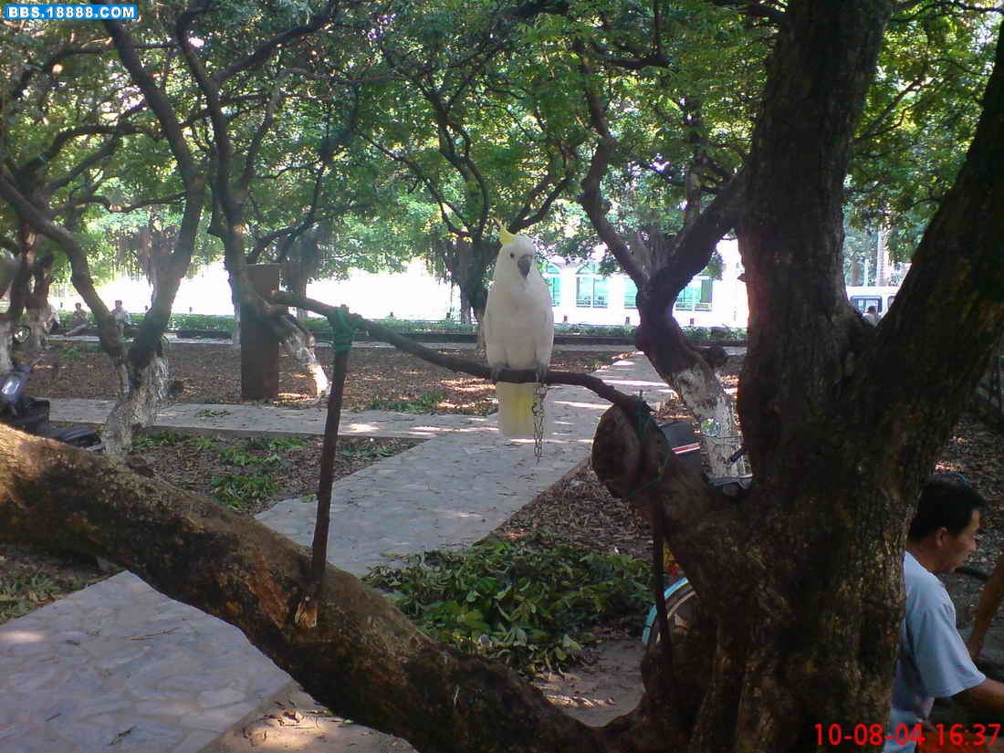 DSC04881.JPG