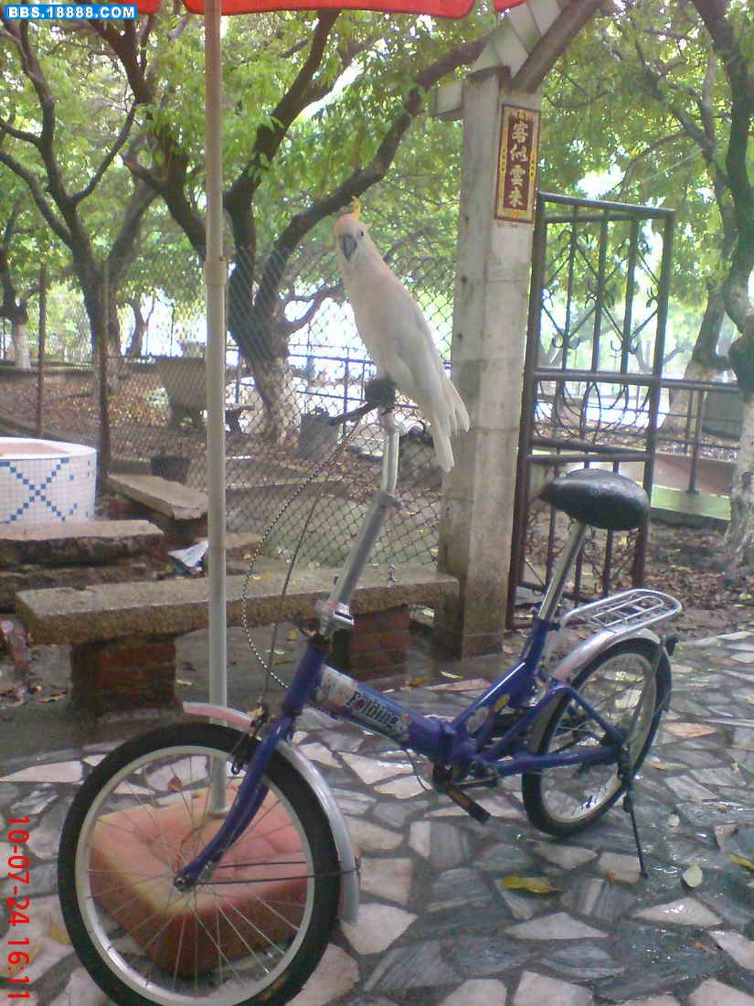 DSC04781.JPG