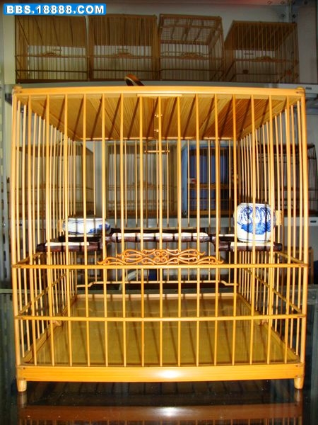 DSC07240.JPG