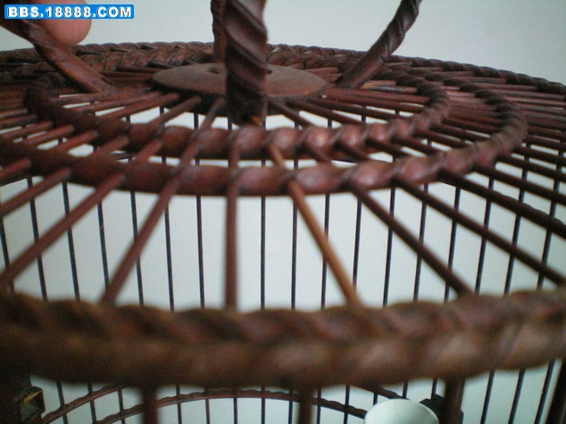 100_0010.jpg