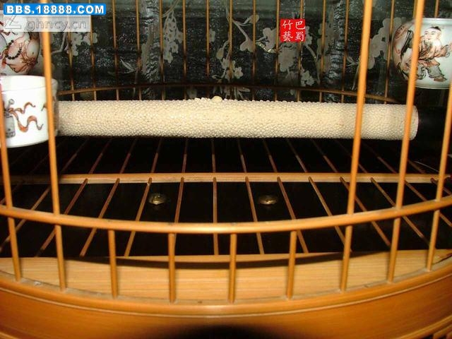 靛壳2.jpg