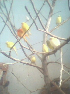 IMG0032A.jpg