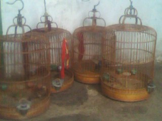 IMG0046A.jpg