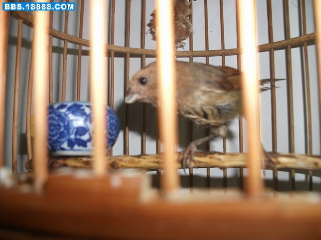 照片 110.jpg