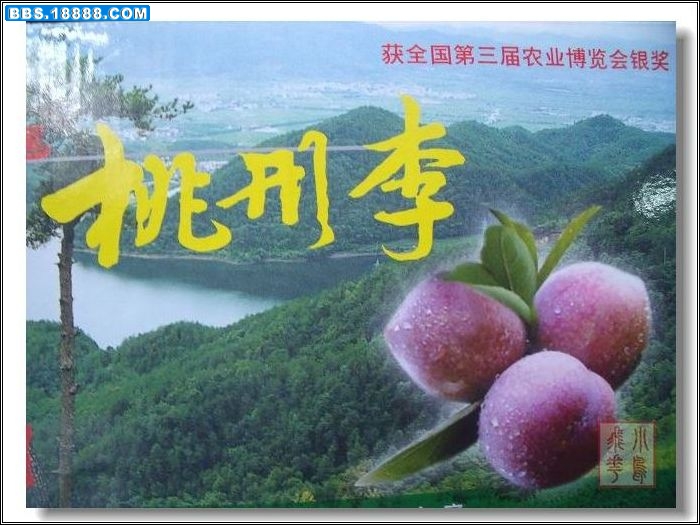 DSCF4387.jpg