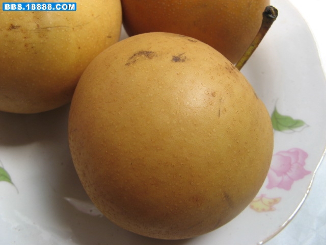 zhe 035.jpg