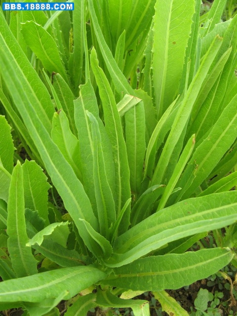 照片 084.jpg