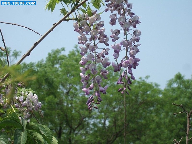 images002.jpg