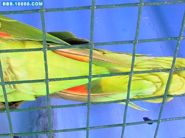 IMAG0526.jpg