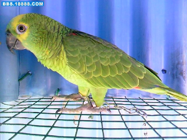 IMAG0491.jpg