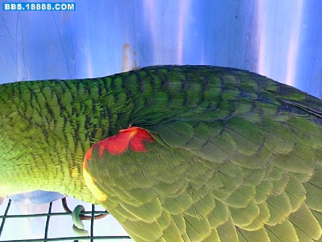 IMAG0520.jpg