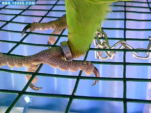 IMAG0550.jpg