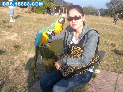 DSCN0313.JPG