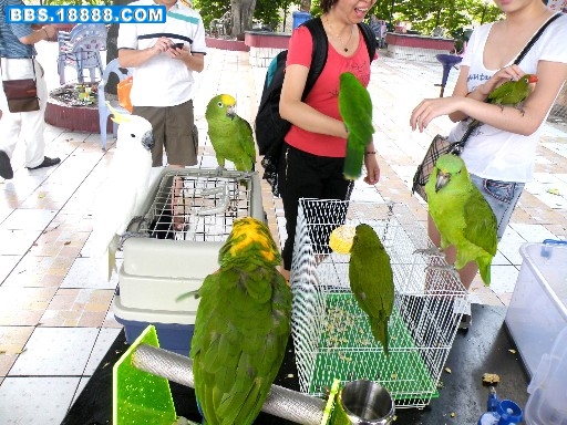 重新曝光 DSCF7032.JPG