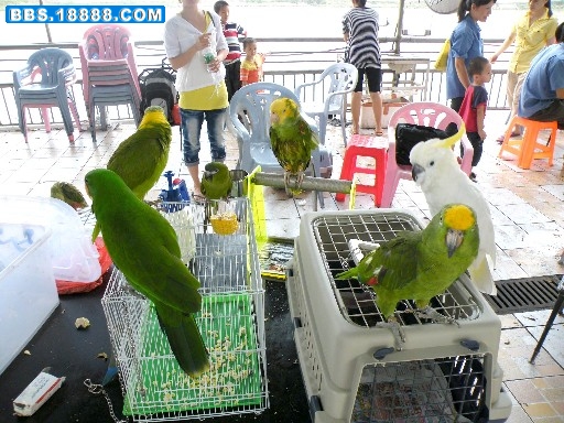重新曝光 DSCF7018.JPG