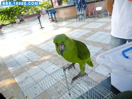 重新曝光 DSCF6987.JPG