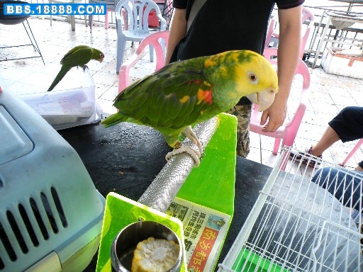 重新曝光 DSCF6950.JPG