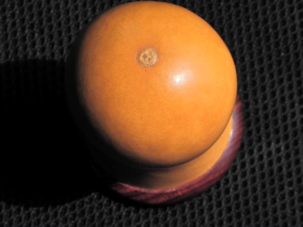 DSCN0412.jpg