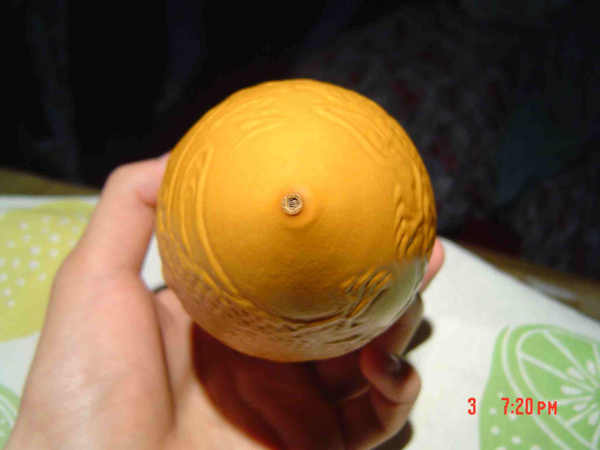 蝈蝈5.jpg