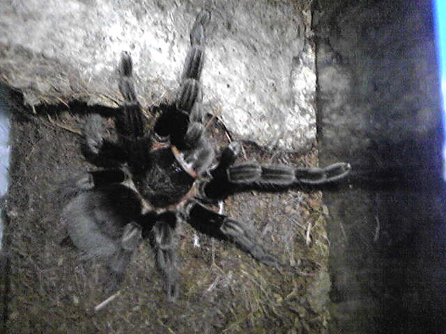 Image038.jpg