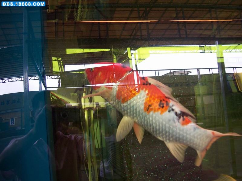 100_9351.JPG