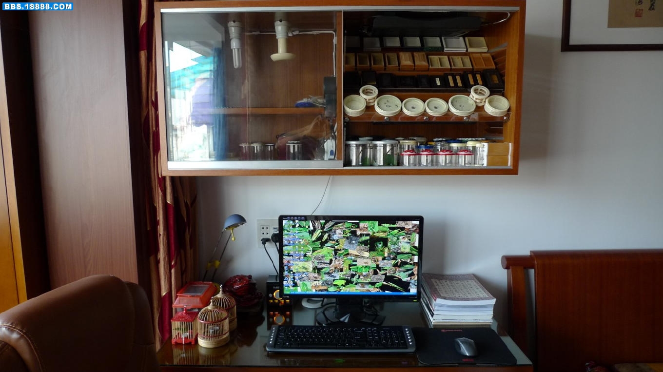 1整体效果图1.jpg