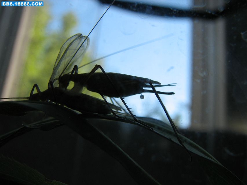 IMG_6672.jpg