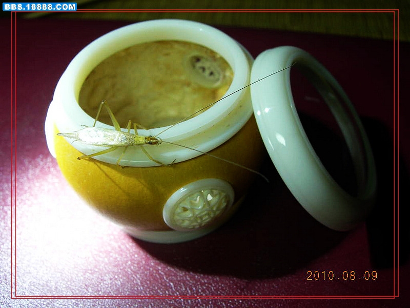 DSCN4556.jpg