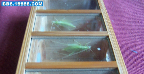 照片 048.jpg