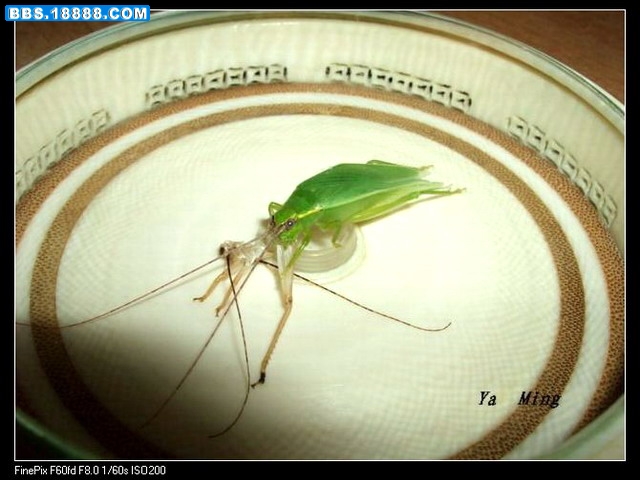 DSCF4792.jpg